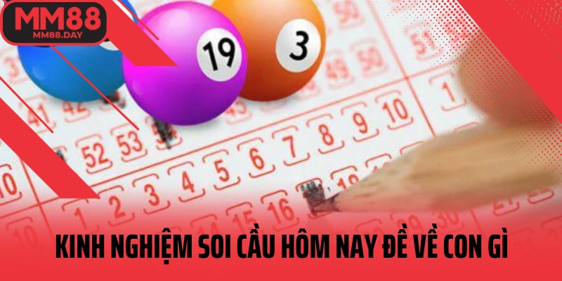 kinh-nghiem-soi-cau-hom-nay-de-ve-con-gi